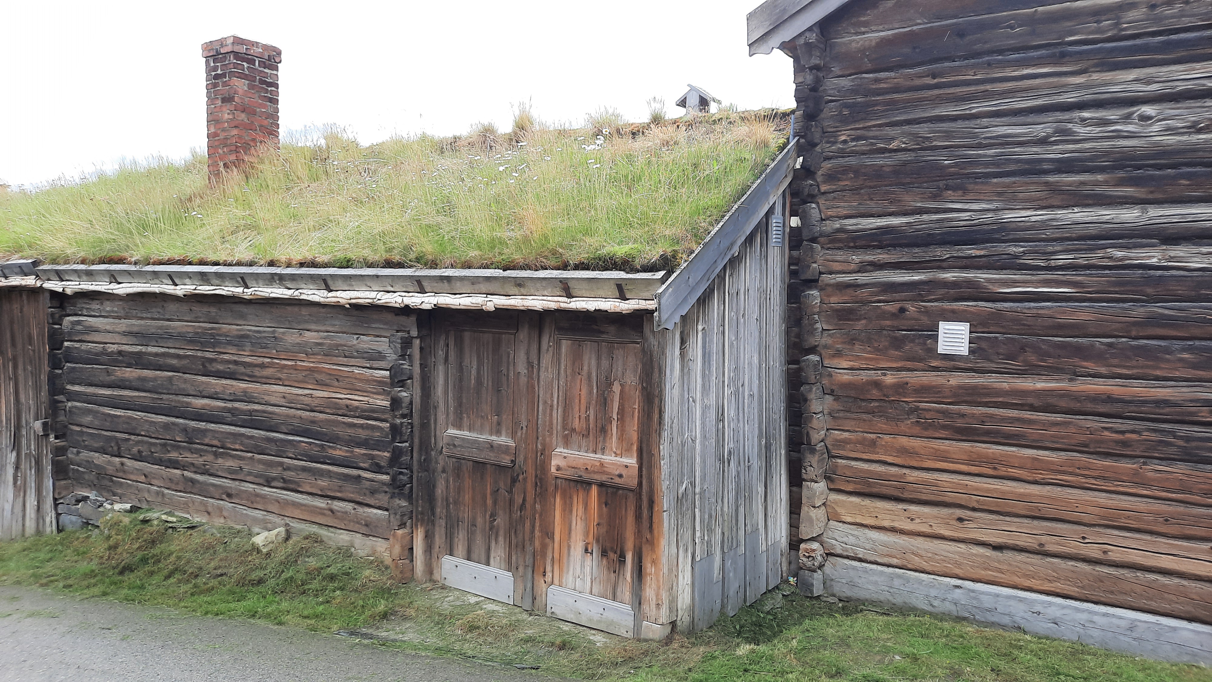 Grasdach